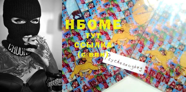 прущие грибы Белокуриха