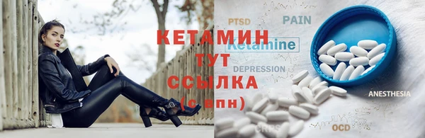 прущие грибы Белокуриха