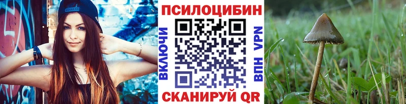 hydra маркетплейс  Каменка  Псилоцибиновые грибы Magic Shrooms  закладка 